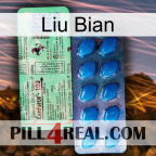Liu Bian new02